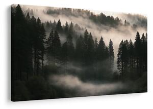 Quadro su tela – Bosco silenzioso nella nebbia