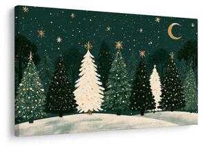 Quadro su tela – Foresta invernale sotto le stelle