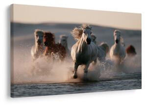 Quadro su tela – Cavalli bianchi tra le onde