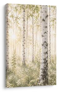Quadro su tela – Delicato bosco di betulle bianche