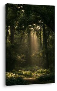 Quadro su tela – Luce misteriosa del mattino nel bosco