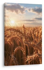 Quadro su tela – Spighe di grano nella luce serale