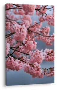 Quadro su tela – Rami delicati con fiori rosa