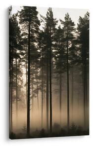 Quadro su tela – Bosco silenzioso nella nebbia mattutina