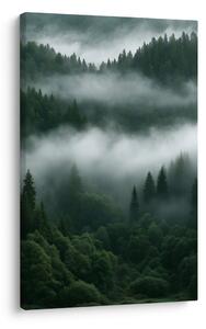 Quadro su tela – Silenziosa foresta di conifere nella nebbia