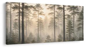 Quadro su tela – Foresta con raggi di sole
