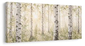 Quadro su tela – Luce del mattino tra le betulle