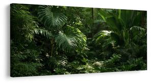 Quadro su tela – Foresta pluviale tra le foglie