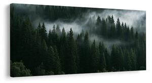 Quadro su tela – Foresta oscura avvolta dalla nebbia