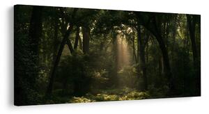Quadro su tela – Angolo del bosco al crepuscolo