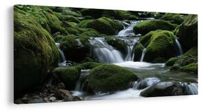 Quadro su tela – Torrente silenzioso tra le rocce