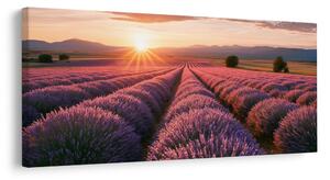 Quadro su tela – Lavanda viola nel paesaggio