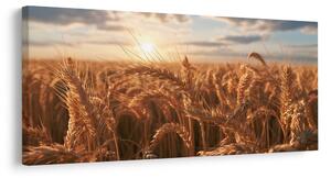 Quadro su tela – Campo estivo sotto il cielo serale