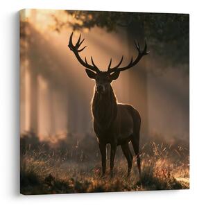 Quadro su tela – Cervo tra i raggi del bosco