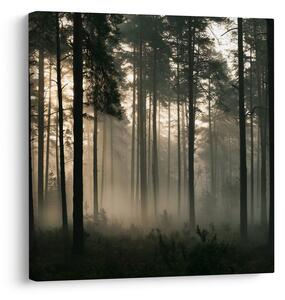 Quadro su tela – Bosco misterioso nella nebbia leggera