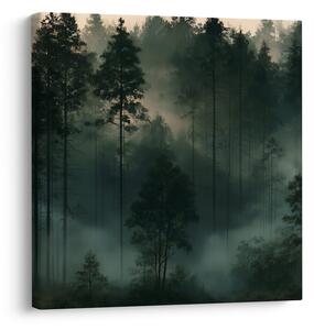 Quadro su tela – Foresta di conifere nella nebbia