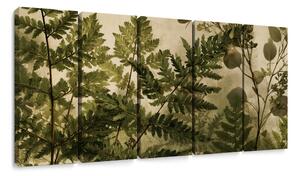 Quadri 5 pezzi – Felci botaniche color seppia
