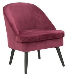 Poltrona Paris Bordeaux 59x67x75,5 cm Legno Spugna e Velluto Sintetico Bordeaux e Nero