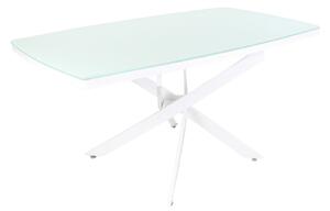 Tavolo da Pranzo 160x79x90 cm in Vetro Temperato