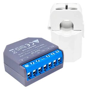 Shelly EM Misuratore consumo elettrico Smart 1 canale + 1 Pinza amperometrica 50A monitoraggio monofase WiFi