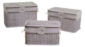 Set 3 Bauli in Rattan con Fodera 66x40H43cm Albero
