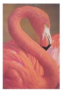 Stampa su Tela con Applicazioni Flamingo 80x3,8x120 cm in Legno e canvas