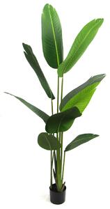 Pianta Artificiale H160 cm Banano con Vaso Verde