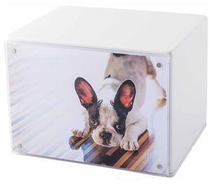 Urna Cineraria in Legno Laccato con Cornice Magnetica per Animali 15x12x10cm GMF Bianco