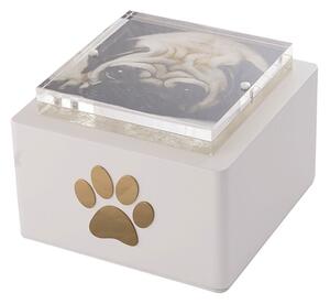Urna Cineraria in Legno con Portafoto Magnetico per Animali 15x15x20cm GMF Orma Bianco