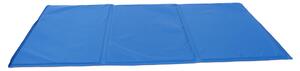 Tappetino Refrigerante Impermeabile 40x50 cm per Cani e Gatti Blu