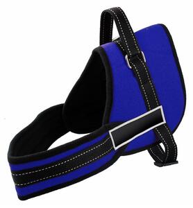 Pettorina di addestramento imbottita Taglia S per cani regolabile Blu