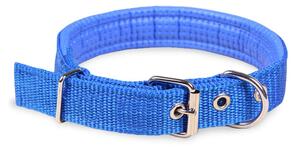 Collare per Cani Phoenix con Fibbia regolabile Razza Piccola in Nylon Regolabile Celeste