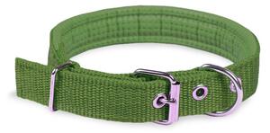 Collare per Cani Phoenix con Fibbia regolabile Razza Piccola in Nylon Regolabile Verde