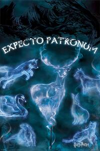 Posters, Stampe Harry Potter - Patronus, (61 x 91.5 cm)