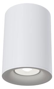 Plafoniera Ceiling & Wall in Alluminio Alfa Bianco