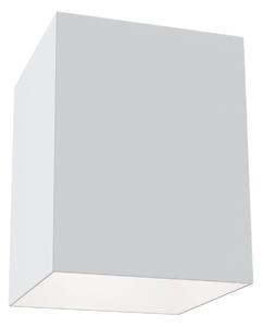 Plafoniera Ceiling & Wall in Alluminio Alfa Bianco