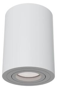 Plafoniera Ceiling & Wall in Alluminio Alfa Bianco