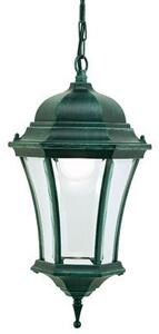 Lampada Sospesa Colore Nero e Verde per Esterno Linea Curvata Sovil