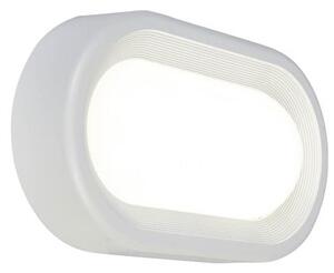 Lampada Plafoniera 18W a Led Smd Ovale Grande Colore Bianco per Esterno Linea Loft Sovil