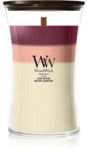 Woodwick Trilogy Lush Nectar candela profumata con stoppino in legno 610 g