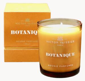 Candela profumata versata a mano Botanique (legno di cashmere, zafferano, rose)