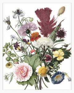 Carta da parati Wallpaper Panel Wild Flowers
