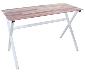 Scrivania 120x60xH75 cm in Vetro View Parquet