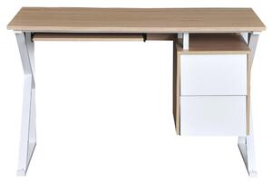 Scrivania da Ufficio con Cassetto e Ripiano Tastiera Estraibile in Acciaio e Legno Bianco Rovere 120x60x76 cm