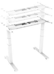 Scrivania da ufficio regolabile in altezza, colore bianco, piano in legno impiallacciato effetto noce, dimensioni 160x80 cm