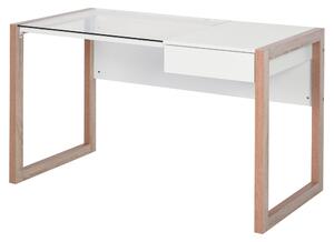 Scrivania da Ufficio 120x60x75 cm in Legno e Vetro