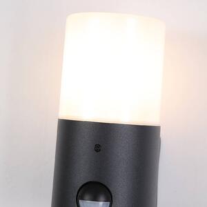 Searchlight Applique da esterno Cannes, altezza 17 cm, bianco e nero, a 1 luce, con sensore Cannes, Nero, Alluminio, Moderno, Applique da esterni