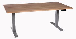 Scrivania da ufficio regolabile in altezza grigio chiaro Piano di lavoro in legno massiccio di faggio 160x80cm