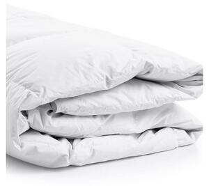 Coperta estiva antiallergica nanoSPACE, Dimensioni: 140 x 220 cm