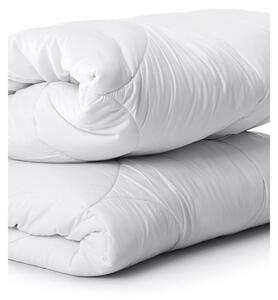 Coperta termica antiallergica per soggetti allergici nanoSPACE, Dimensioni: 140 x 200 cm